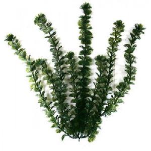 Растение для аквариума Tetra DecoArt Plant Green Cabomba